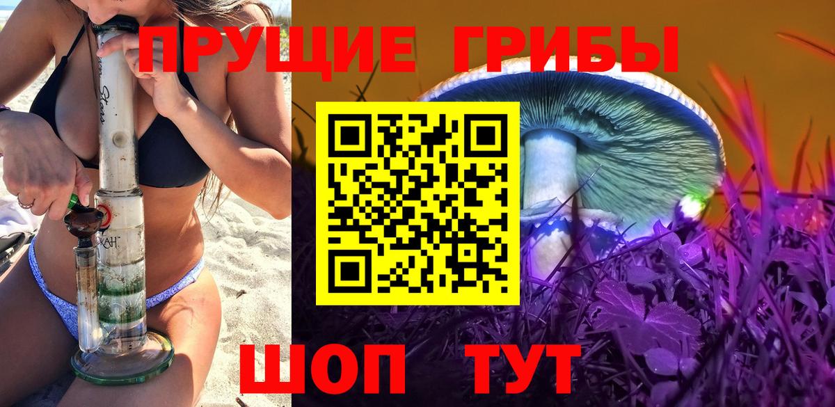 Галлюциногенные грибы GOLDEN TEACHER Соль-Илецк